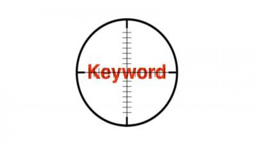 Keyword Target